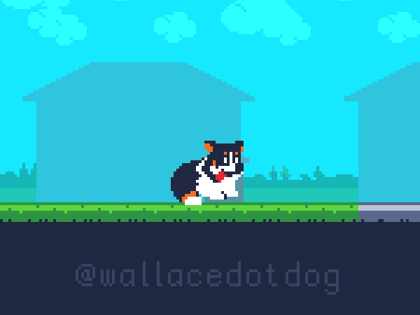 Pouncing practice for my game! Woof!